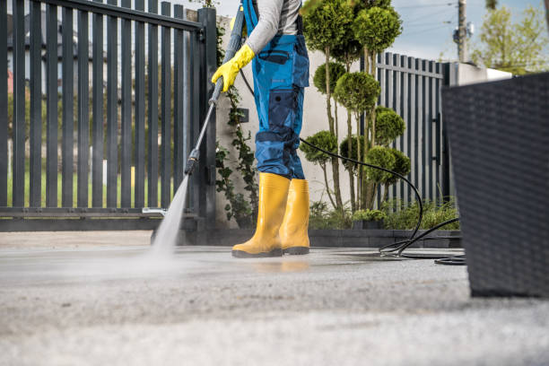 Best Fence Cleaning and Maintenance in Thiensville, WI